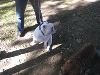 Brand 042.webp Brand 042.webp