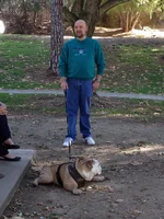 IMG_5407.webp IMG_5407.webp