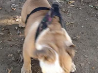 IMG_5411.webp IMG_5411.webp