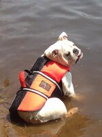 Wilson - Lifejacket.jpg Wilson - Lifejacket.jpg