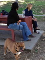 IMG_5408.webp IMG_5408.webp