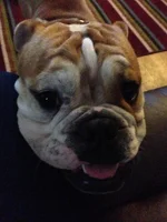 photo (4).webp