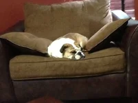 image.webp