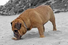 Slacker 4.webp