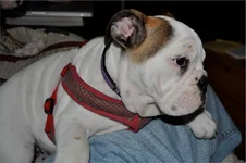 01zoey.webp