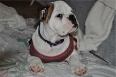 01zoey'snails.webp