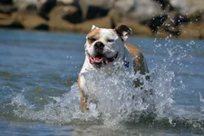 FB.webp