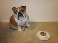 With cake.webp
