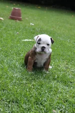 Petra's pictures 006.webp