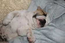 Petra's pictures 015.webp
