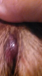 IMG_20130731_194756_506.webp