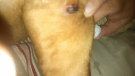 IMG_20130731_194959_717.webp