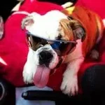 jagger4.webp