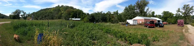 Garden 3.webp