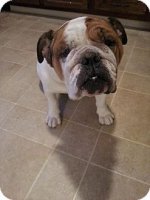 becca3.jpg becca3.jpg
