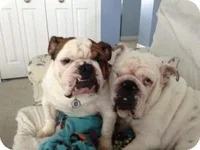 brooklynandriley1.webp brooklynandriley1.webp