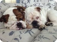 brooklynandriley2.webp brooklynandriley2.webp