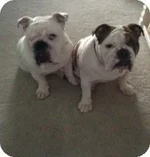 brooklynandriley3.webp brooklynandriley3.webp