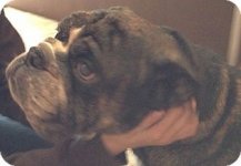 dozer3.jpg dozer3.jpg