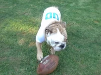 20130918_172032.webp