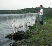 2013-06-29 21.58.20.webp