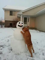 Winter.webp