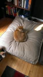 IMAG0388.jpg IMAG0388.jpg
