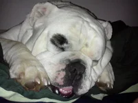 2013-03-30 11.44.11.webp