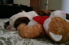 20130801_125820-1.webp