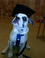 20130726_185627-1.webp