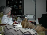 DSC00029.webp