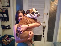 image.webp