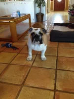 IMG_2545.webp