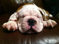 Stu 10 weeks.webp