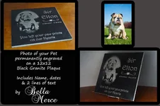 Black-Granite-Pet-Before-&-.webp