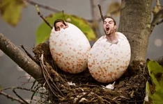 Birth.webp