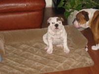 IMG_2121.jpg IMG_2121.jpg