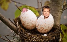 Chumley-&-Casper-Hatching.jpg