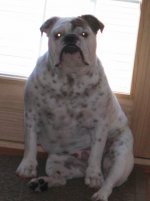 IMG_3818.jpg IMG_3818.jpg