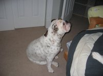 IMG_4852.jpg IMG_4852.jpg