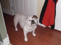 10.13.2011 027.jpg 10.13.2011 027.jpg