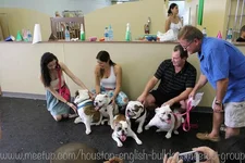 600_266997062.webp