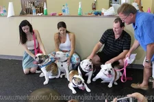600_266997082.webp