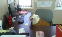 2012-04-05 13.57.42.webp