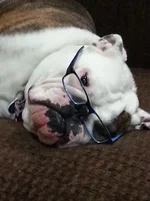 sophie2.webp