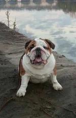 tubs skukyll.webp