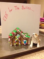 Christmas 2013 014.webp