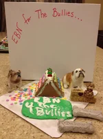 Christmas 2013 023.webp