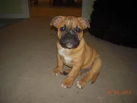 tucker10.webp