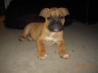tucker11.webp tucker11.webp